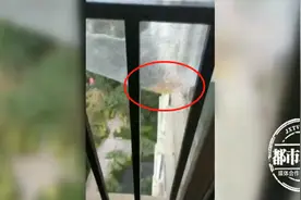 阳台没封玻璃，每日都会出现恶心液体，还带有刺鼻气味图片