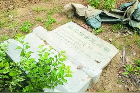 合肥市区将重现“陌上汉邑”庐阳遗址公园已开始设计图片