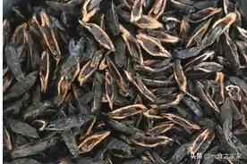 最遭外国人吐槽的3种中国水果，甘蔗上榜！外国朋友：能吞下去吗图片