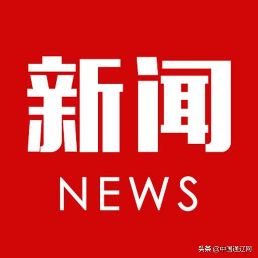 布小林优化（布小林参加通辽市代表团和乌海市代表团审议时强调）