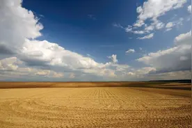 鼠宝宝名：楚辞优雅大气的新生儿名，个个高贵雅致图片