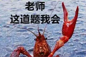 同学会倡议书模板（因为疫情影响已破产）图片