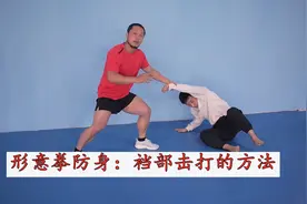 庞超传统武术裆部打法：控制重心上惊下取图片