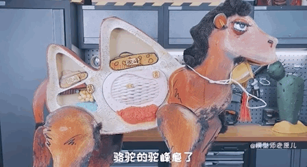骆驼的驼峰竟然不是用来存水的？那它靠啥在沙漠里笑嘻嘻？