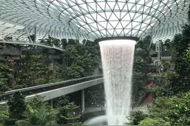 室内热带雨林花园分享|星耀樟宜图片