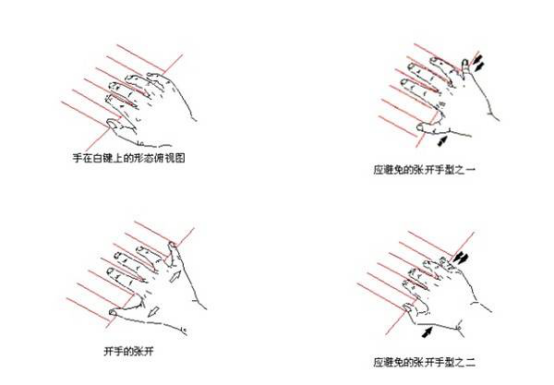 钢琴识谱初学者必看，满满都是干货，建议收藏