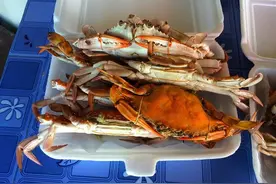 深圳一家三口肺里爬进寄生虫，医生也无奈：爱吃水产品的注意了图片