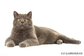 2021-2022学年部编版语文八年级上册第三周周末综合练习图片