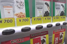日本卖炸虫子和二手内裤的自动售货机，能有多奇葩？图片