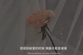 文案｜“谢谢你陪我长乐未央，也陪我两败俱伤”图片