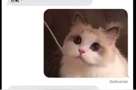 房东不允许养宠物，当把猫照片发过去后，他态度就改变了：破例了图片