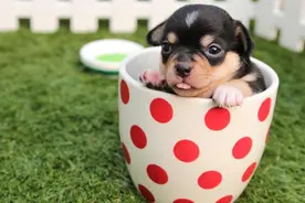 这3个星座男要“吊着”，你对他们越冷漠，他们反而对你更感兴趣图片