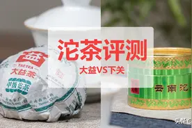 沱茶评测：下关VS大益，你更看好谁？图片