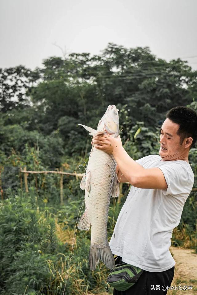 武汉天元邓刚火出圈，钓鱼界的德云社浮出水面
