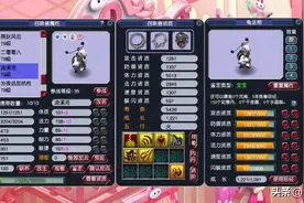 69级小姐姐的“个性宠军团”，颜值果然很重要！图片
