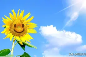 HIV感染者就医之路——要更坚强图片