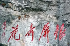 安徽巢湖的山上，有一株特殊的千年牡丹，堪比黄山迎客松图片