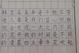 小学生写字像是打印体，除了勤加练习，学好控笔练习是关键图片
