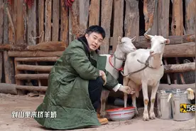 无底线尬捧新人、游戏全是bug，难怪《五哈》会糊图片