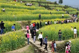 河南6旬大妈热情招待城里游客，家中柿子却被他们偷摘光，啥情况图片