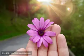 做人，要学会闭嘴图片