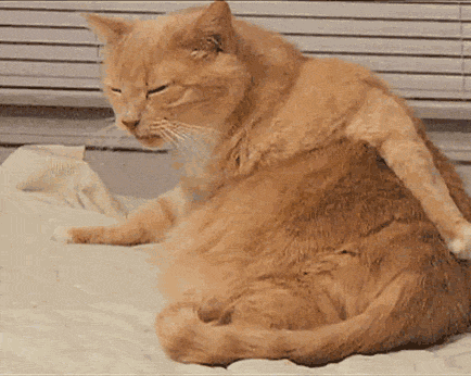 角化性湿疹传染么