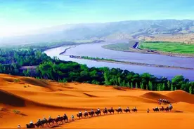 甘肃人主演的《山海情》，火了宁夏图片