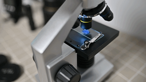 米饭脱糖概念真的全是伪科学？——还得看实际产品