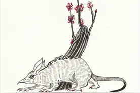 73.《山海经》之狙如说：贵族、复古、有些范儿卷土重来很是危险图片