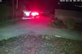 “网络红人”开宝马跑车进村偷了6只鸡！鸡被闷死，又折回去偷图片