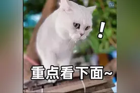 警惕！教室照明不达标，会影响孩子视力！附国家标准→图片