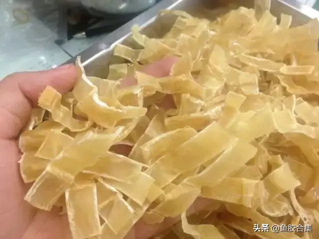 喝鱼胶汤不吃鱼胶有效果吗 2026年喝鱼胶汤不吃鱼胶有效果吗视频