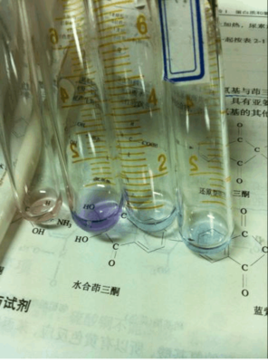 蛋白质的性质实验——蛋白质及氨基酸的呈色反应