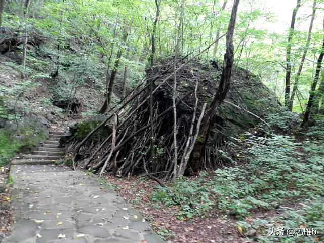 重走抗联路——本溪关门山森林公园鸣翠谷景区抗联秘营