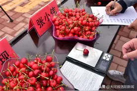 “樱桃沟”内樱桃红，小小樱桃成了致富金果果图片