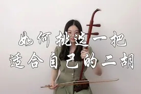 购买一把二胡是音色优先，价格优先，还是外观优先？图片