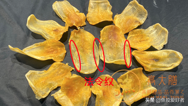 巴基斯坦白花胶 2026年巴基斯坦白花胶的功效