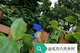 曲终人未散（六）图片
