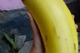 冷知识：香蕉也会让人害怕图片