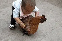 我眼一直近视，老婆说我带眼镜不好看，所以一直没配眼镜。图片