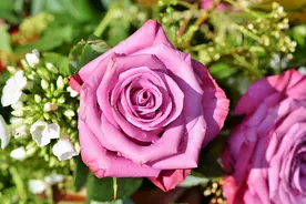 女人开始对你动情的征兆：默许图片