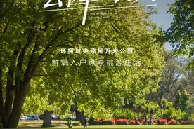 哈西群力双C位！正在热销中图片