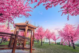 现代版世外桃源，每个都值得拥有图片