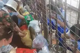 专家痛批：高中生还天天送饭，中国家长的巨婴式养娃会害了孩子图片