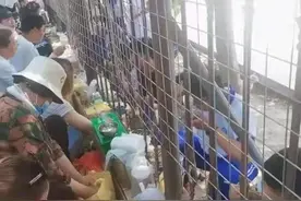 专家痛批：高中生还天天送饭，中国家长的巨婴式养娃会害了孩子图片