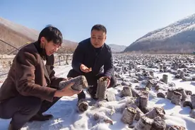 阿里巴巴公益基金会升级：为共同富裕贡献绵薄之力图片