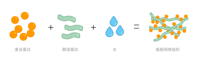 说自己麸质不耐受的人，真的了解麸质嘛？