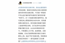 给疣鼻天鹅绑追踪器合规吗？为啥有网友认为这是种“酷刑”？快看相关部门怎么说图片