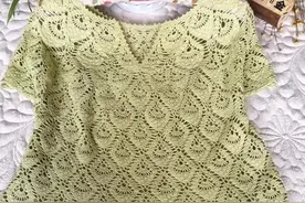 钩针雀羽短袖衫，附图解图片