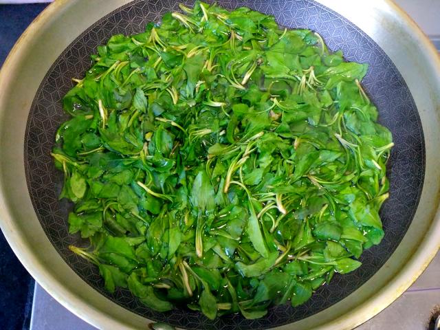 春季特有的一种菜，这个做法简单又好吃，清热解毒效果好。